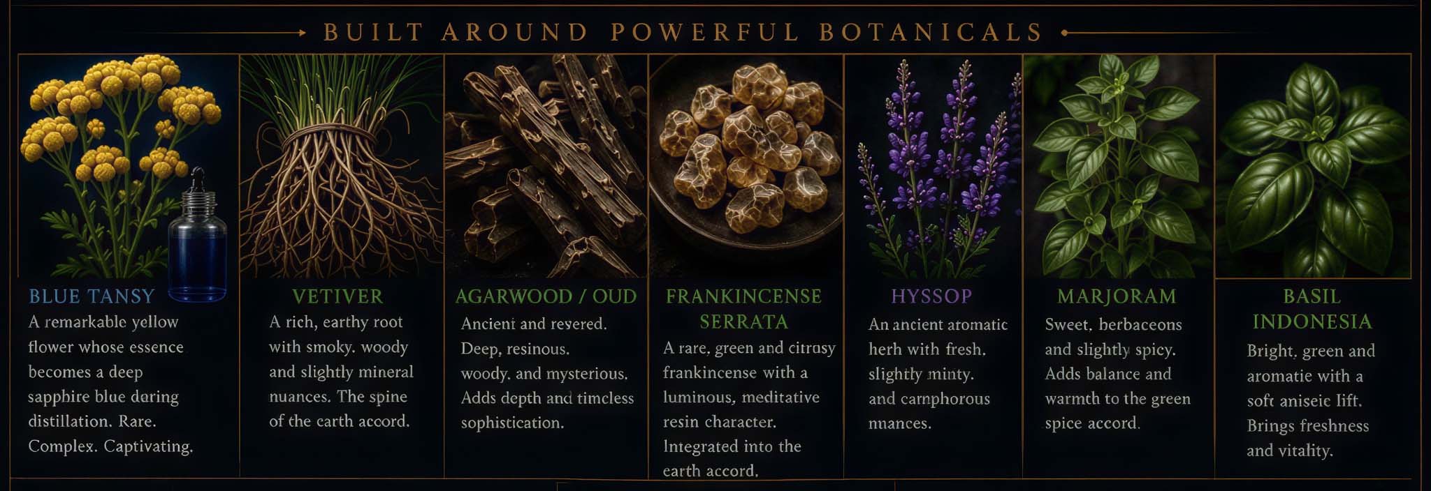 Botanical true fragrance - zayah