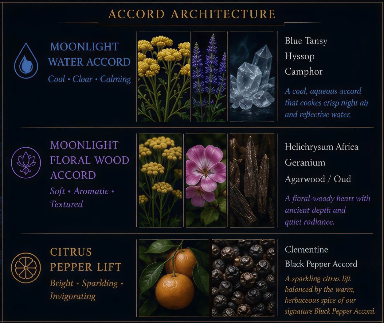 natural fragrance accord architecure